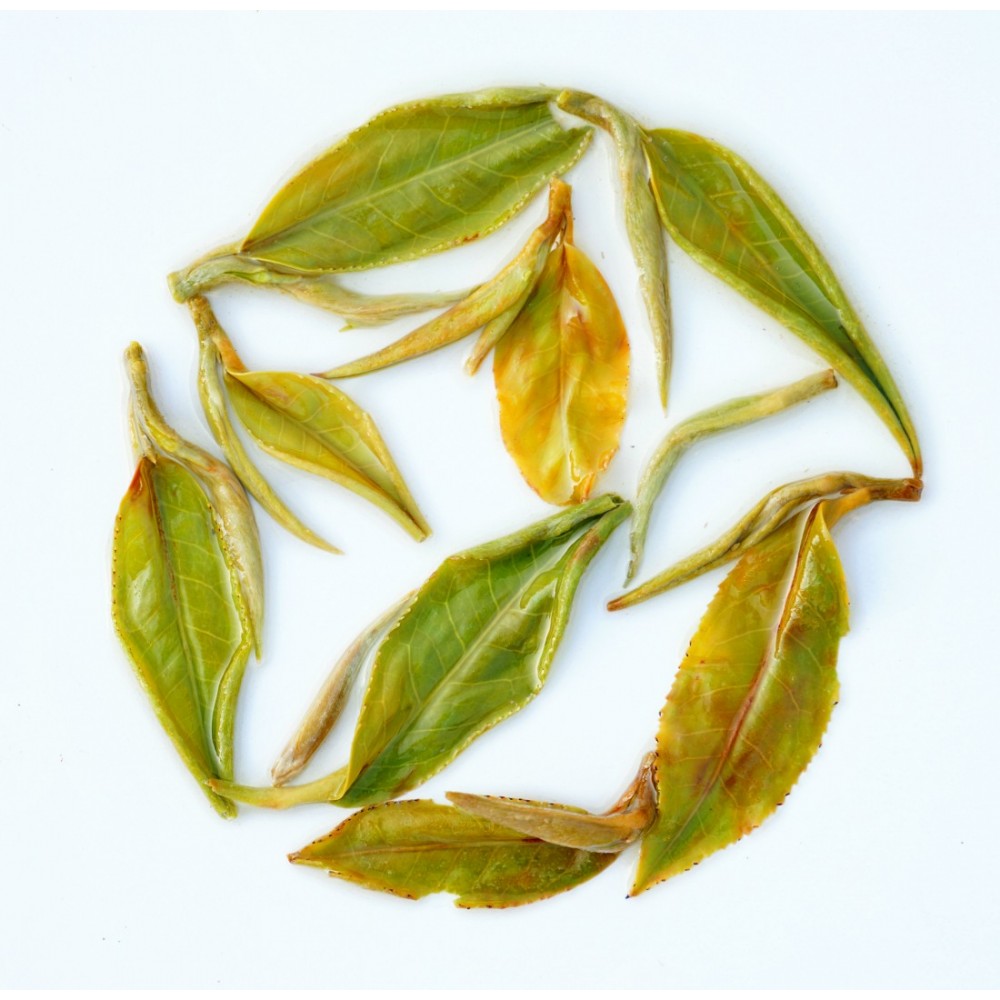 Nonaipara Forest Mist Black Tea — Ancient Wild Reserve detail 2